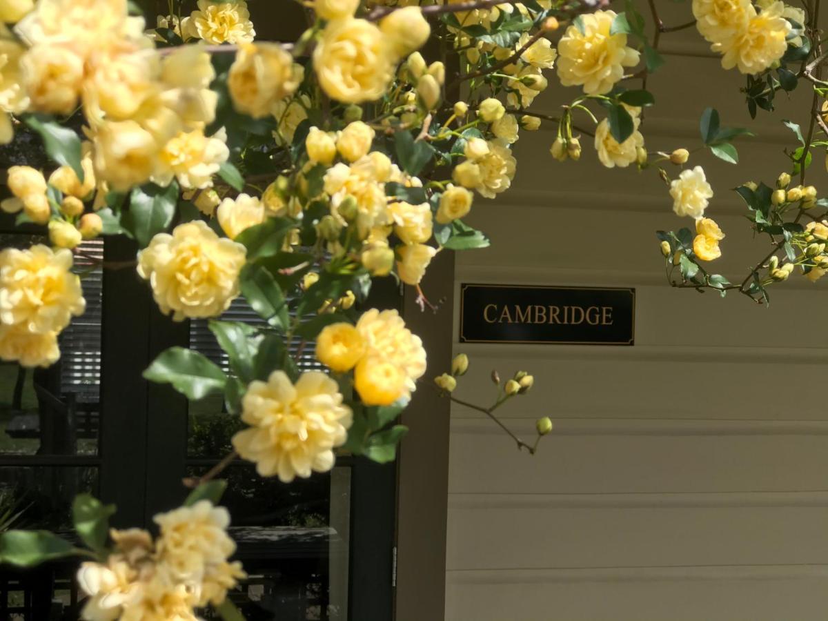 Pinot Villas Martinborough Luaran gambar